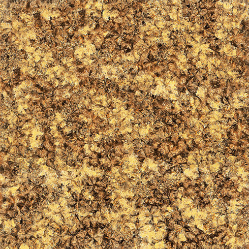 凯发K8国际2.0厚微晶石：：：浅金啡KFB88012单片