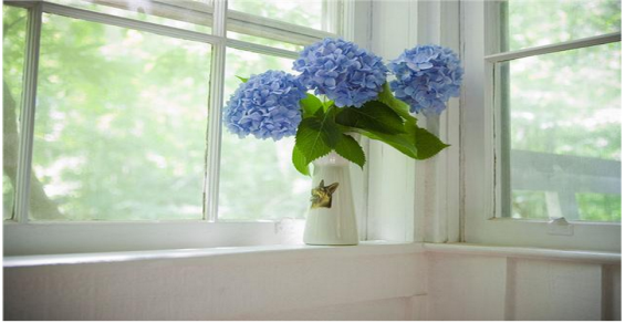 首页| 凯发K8国际·天生赢家一触即发