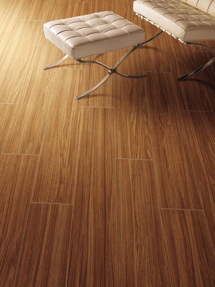 最美，不过当阳光遇上森林