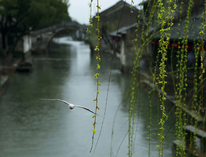 首页| 凯发K8国际·天生赢家一触即发