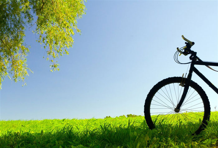 即即是春风十里，，，依然不如你