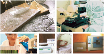 首页| 凯发K8国际·天生赢家一触即发