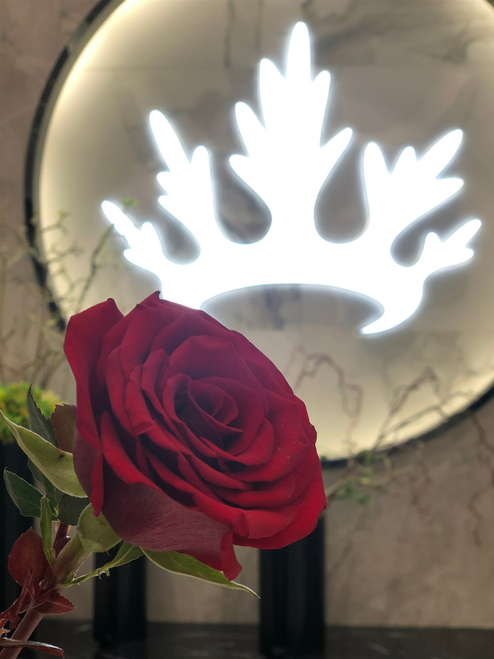 首页| 凯发K8国际·天生赢家一触即发