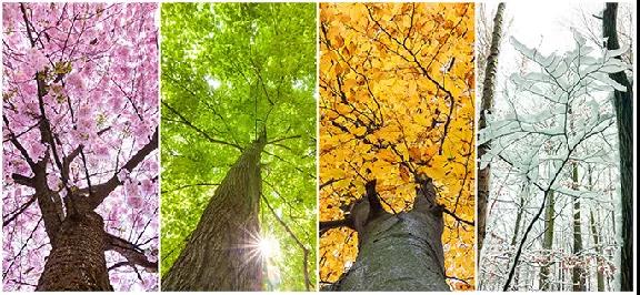 首页| 凯发K8国际·天生赢家一触即发