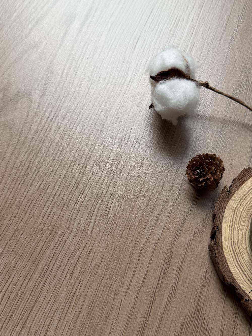 首页| 凯发K8国际·天生赢家一触即发