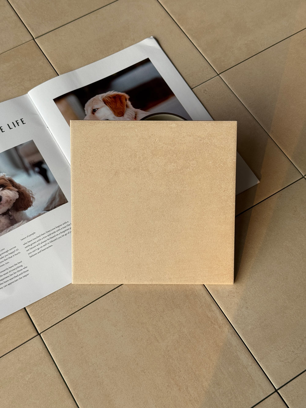 首页| 凯发K8国际·天生赢家一触即发