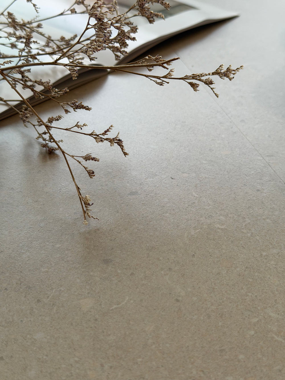 首页| 凯发K8国际·天生赢家一触即发