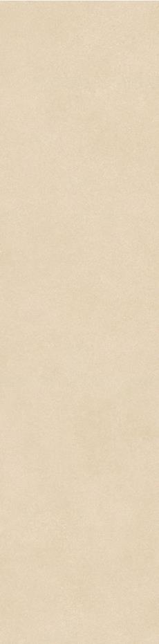 AA307522竹节(黄润)