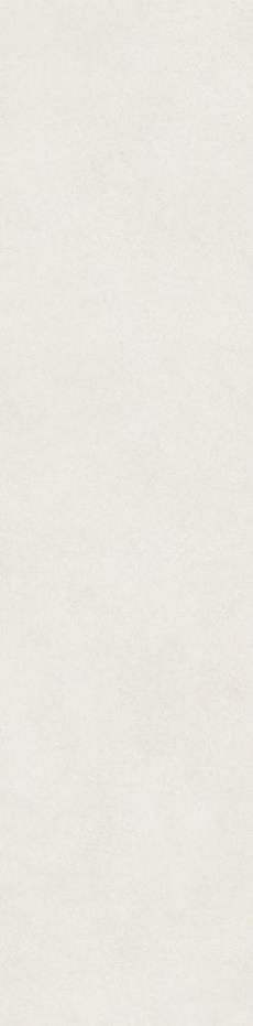 AA307521竹节(玉白)